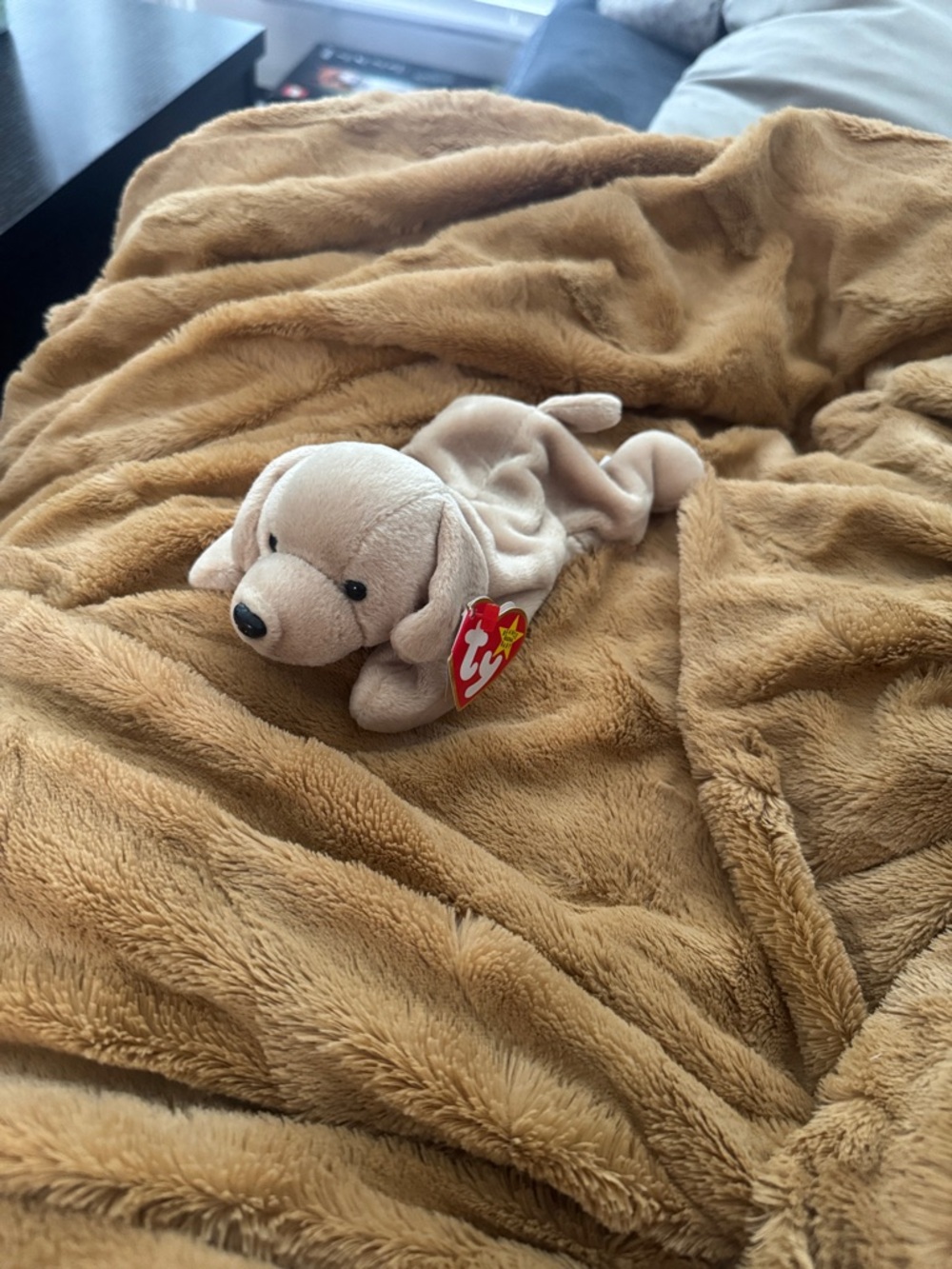 1998 “Fetch” beanie baby